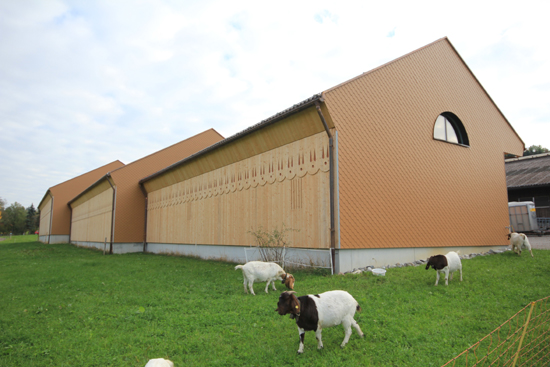 Kübler AG Holzbau